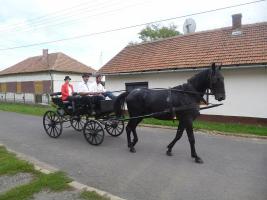Szüreti felvonulás 2014