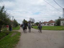 Szüreti felvonulás 2014