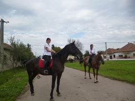 Szüreti felvonulás 2014