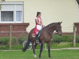 Szüreti felvonulás 2014