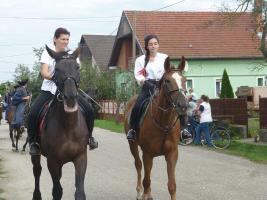 Szüreti felvonulás 2014