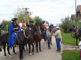 Szüreti felvonulás 2014