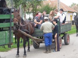 Szüreti felvonulás 2014