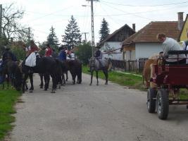 Szüreti felvonulás 2014