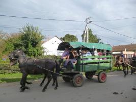 Szüreti felvonulás 2014