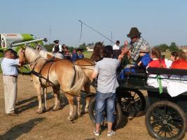 Aratónap 2015