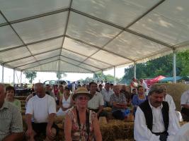 Aratónap 2015