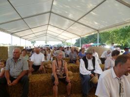 Aratónap 2015