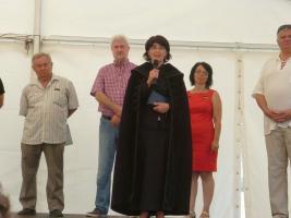 Aratónap 2015