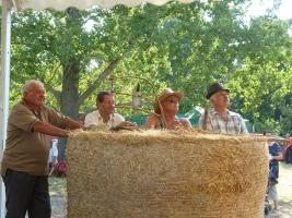 Aratónap 2015