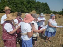Aratónap 2015