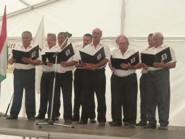 Aratónap 2015