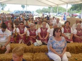 Aratónap 2015