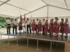 Aratónap 2015