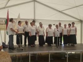 Aratónap 2015