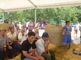 Aratónap 2015