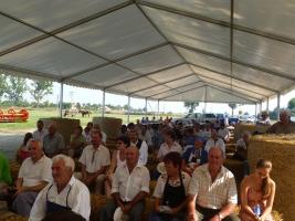 Aratónap 2015