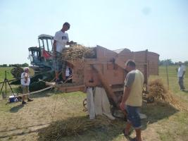 Aratónap 2015