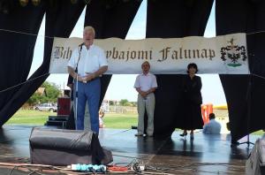 Falunap 2015