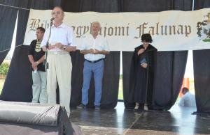 Falunap 2015