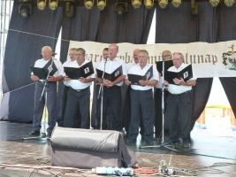 Falunap 2015
