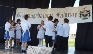 Falunap 2015