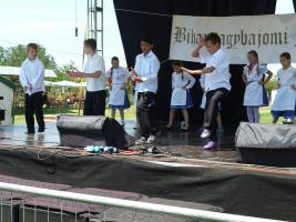 Falunap 2015