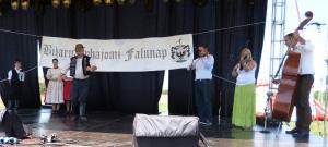 Falunap 2015