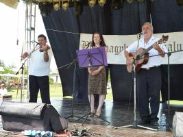 Falunap 2015