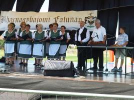 Falunap 2015