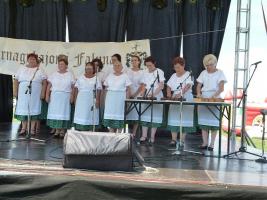 Falunap 2015