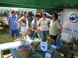 Falunap 2015