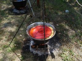 Falunap 2015