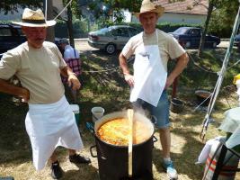 Falunap 2015