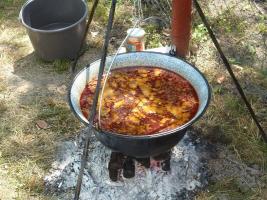 Falunap 2015