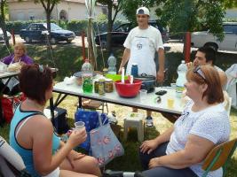 Falunap 2015