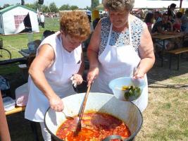 Falunap 2015