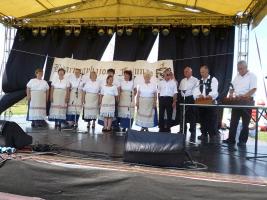 Falunap 2015