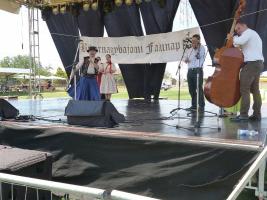 Falunap 2015