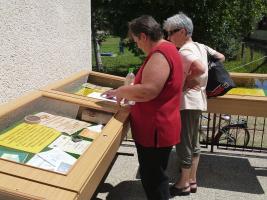 Falunap 2015