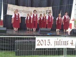 Falunap 2015