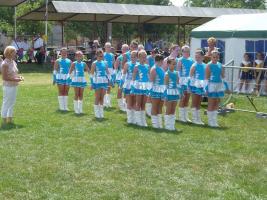 Falunap 2015