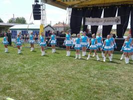 Falunap 2015