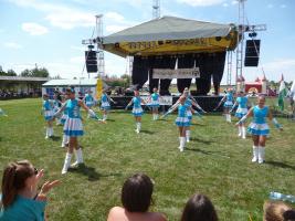 Falunap 2015