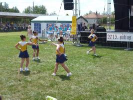 Falunap 2015