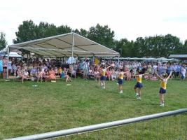 Falunap 2015