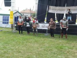 Falunap 2015