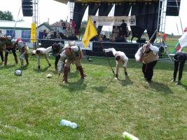 Falunap 2015