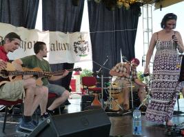 Falunap 2015