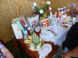 Falunap 2015